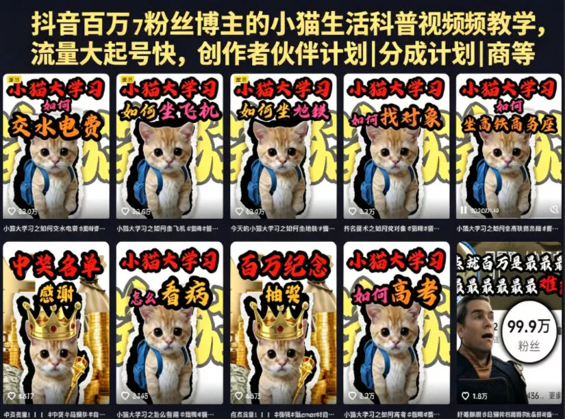 抖音百万粉丝博主小猫生活科普视频教学:零基础剪辑入门,快速起号变现副业